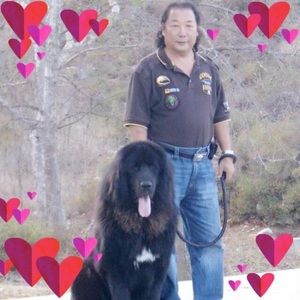 Meet your Posher, Ivan